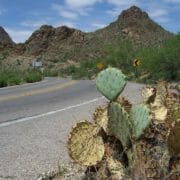 Montrose to/from Tucson (TUS) AZ Flight Deal from $197rt