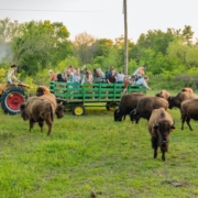 Montrose CO to/from Lawton (LAW) OK flight deal from $232rt