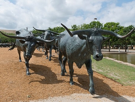 Montrose CO to/from Dallas (DAL) TX flight deal from $245rt