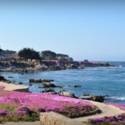 Montrose CO to Monterey (MRY) CA flight deal from $229rt