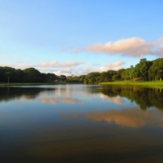 Montrose CO to Curitiba (CWB) Brazil flight deal from $831rt