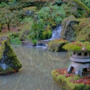 Montrose CO to/from Portland (PDX) OR flight deal from $291rt
