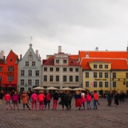 Montrose CO to Tallinn (TLL) Estonia flight deal from $504rt