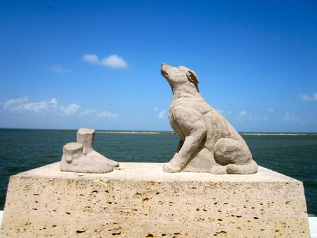 Corpus Christi dog-952774__340 Montrose CO to/from Corpus Christi (CRP) TX flight deal from $208rt
