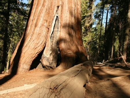 Montrose CO to/from Eureka (ACV) CA flight deal from $225rt