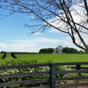 Montrose CO to/from Lexington (LEX) KY flight deal from $349rt
