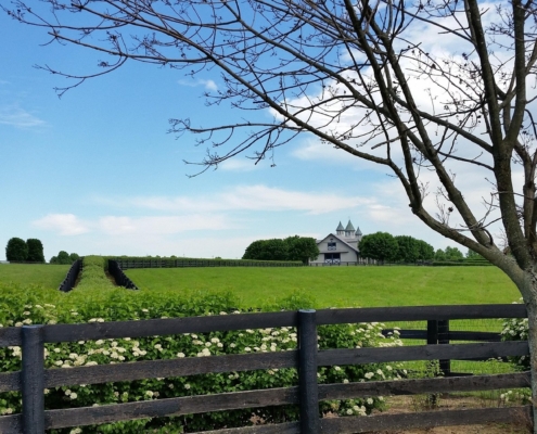 Montrose CO to/from Lexington (LEX) KY flight deal from $349rt