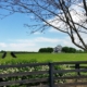 Montrose CO to/from Lexington (LEX) KY flight deal from $349rt