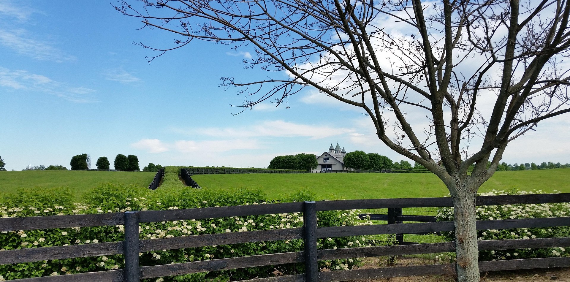 Lexington horse-farm-1402043_1920 Montrose CO to/from Lexington (LEX) KY flight deal from $349rt